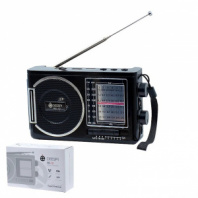Радиоприемник Deespi RE-12 AM/FM/SW/USB/AUX/Micro SD